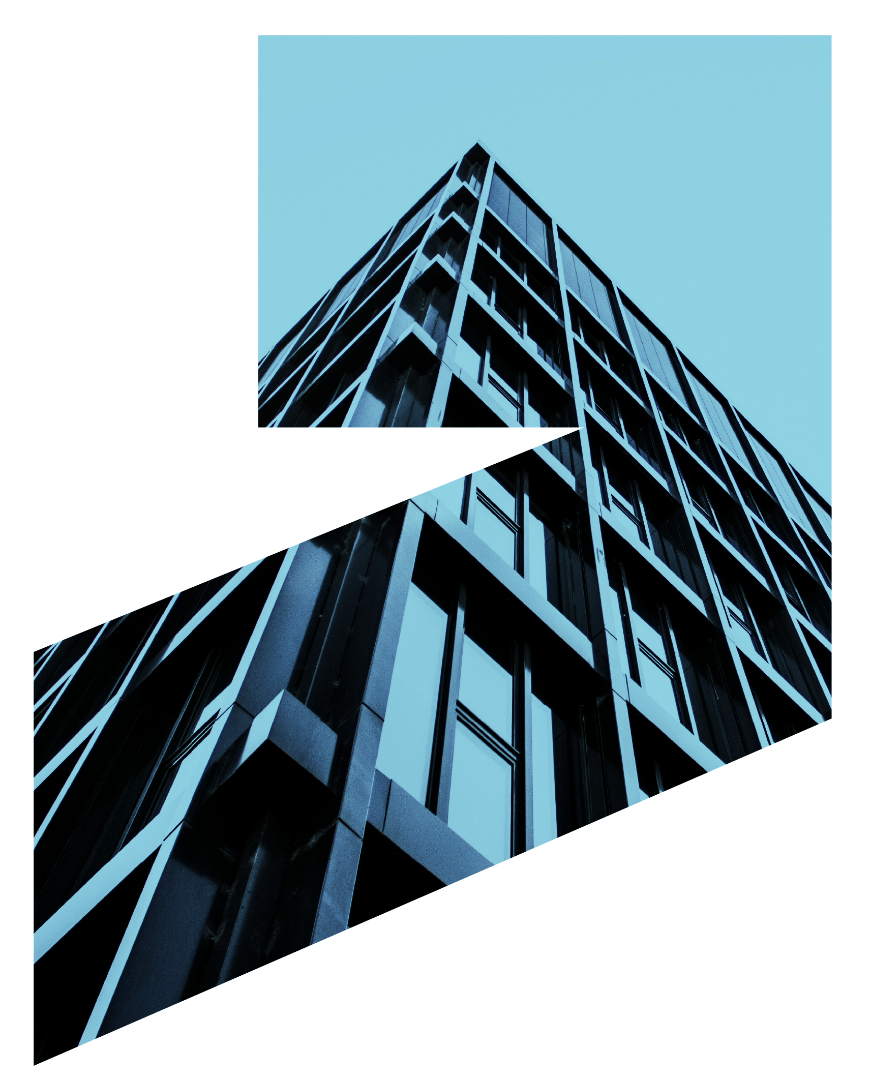 الجمعية المشاركة